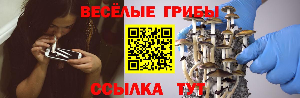 Магнитогорск  Псилоцибиновые грибы мицелий  Вход с VPN  Псилоцибиновые грибы GOLDEN TEACHER 